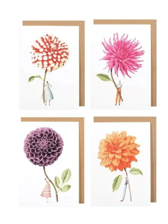 Hester & Cook Notecard Set