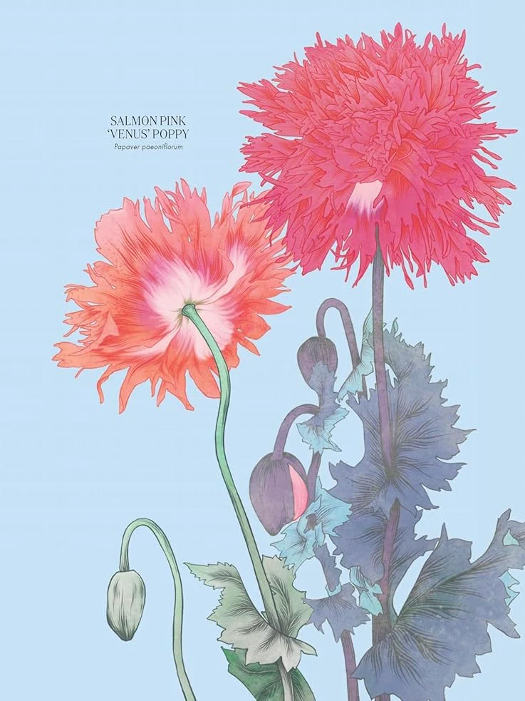 Petal - The World of Flowers Through an Artist's Eye Book - Image 4