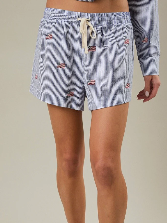 Stripe Flag Embroidered Shorts