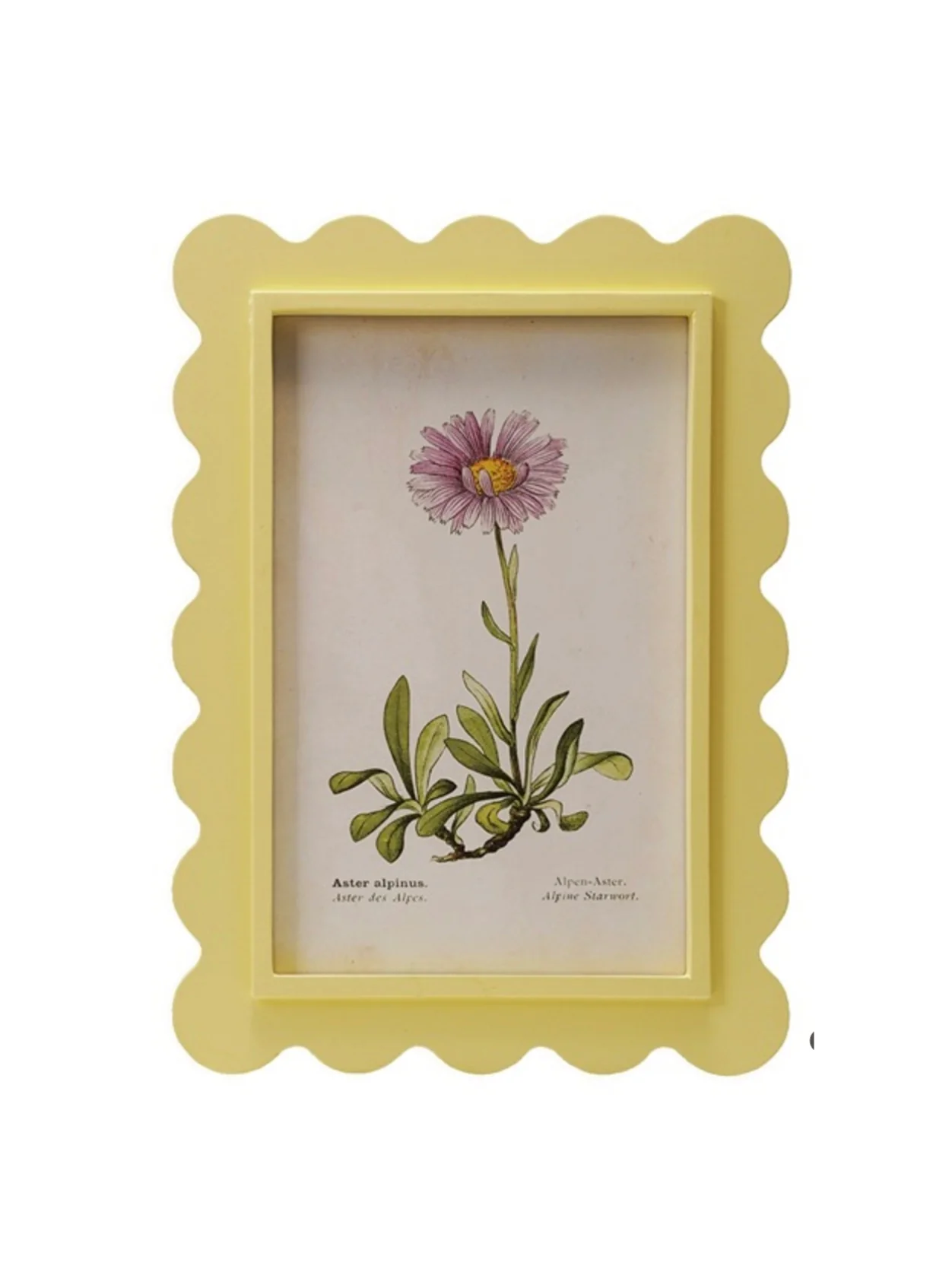 Yellow Squiggle Framed Floral Print - Image 4